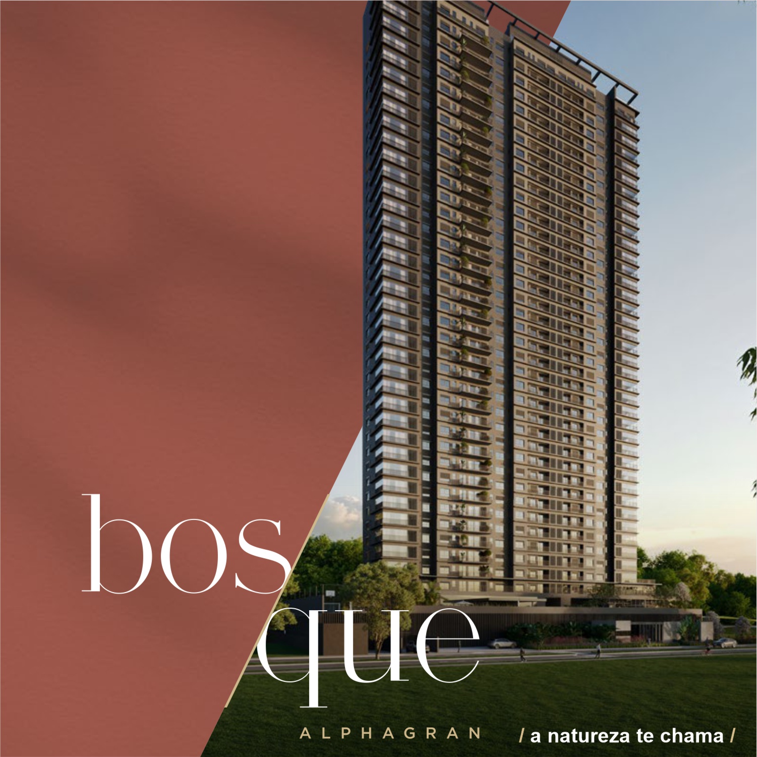 bosque 13